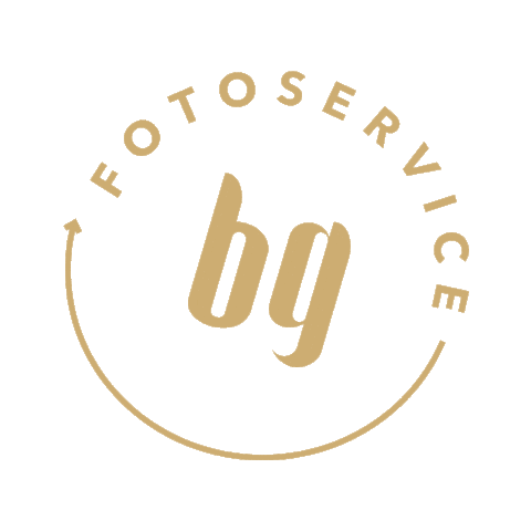 ballguide Sticker