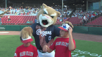 ozzie t cougar GIF by Kane County Cougars