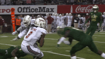 Knock Out Usf GIF by SoFloBulls