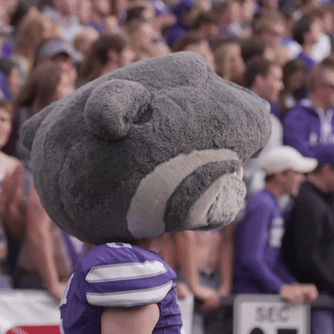 Oh Yeah Yes GIF by Kansas State University