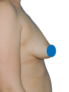 Aurea Clinic Sticker