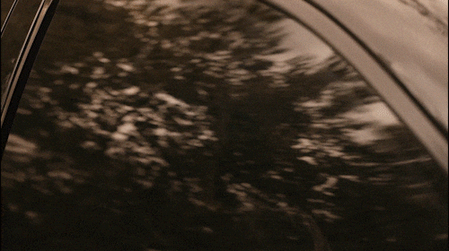 giphy.gif?cid=5e214886fv0ujg7o5fna7vhebe