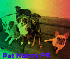 petnannypr GIF