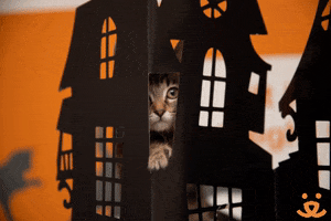 Save Them All Trick Or Treat GIF by Best Friends Animal Society