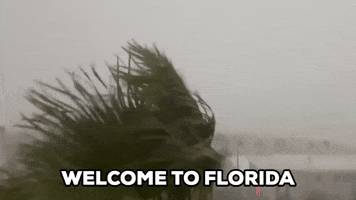 Tampa Bay Weather GIF by Storyful