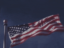 4Th Of July Usa GIF by US National Archives