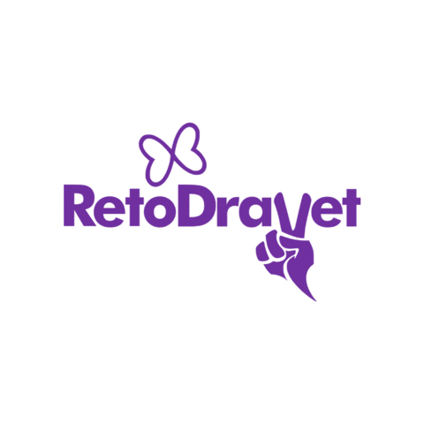 Fundación Síndrome de Dravet Sticker