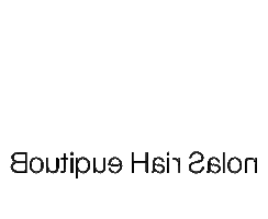 DL Boutique Sticker