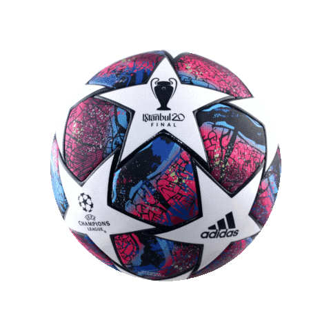 Champions League Soccer Sticker by ball-one.de