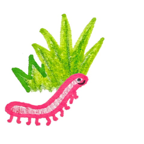 Converse Polska Sticker