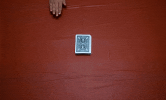 Stop Motion GIF