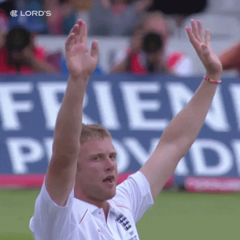 London Thank You GIF by Lord's Cricket Ground - Find & Share on GIPHY