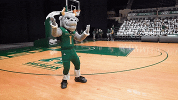 Usf Bulls Dancing GIF by University of South Florida