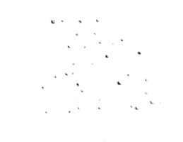 Lifeisaboutpeople Sticker by Live Different