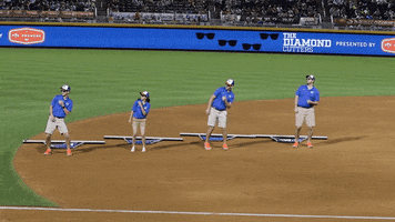 Durham Bulls GIF