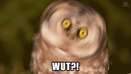 Owl Reaction GIF