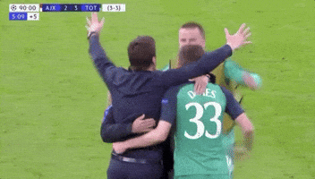 come on you spurs champions league GIF