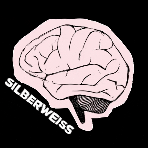 Silberweiss illustration brain kopf gehirn GIF