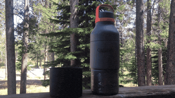 GIF by Hibear Design Co