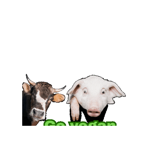 Go Vegan Sticker by Natur-Clean-up