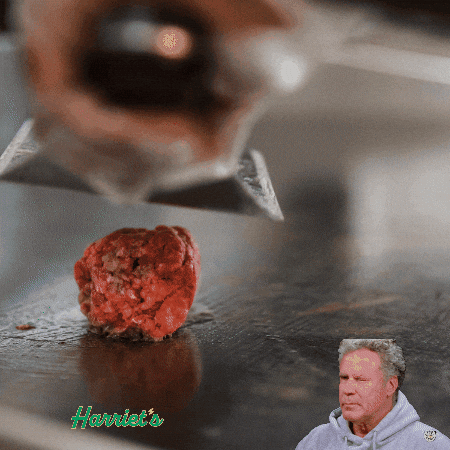 Will Ferrell Yes GIF by Harriet's Hamburgers