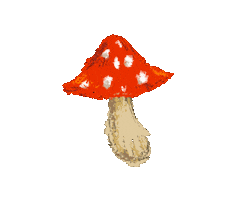 Nature Sticker
