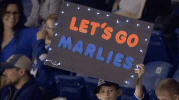 Celebration Hockey GIF by Toronto Marlies