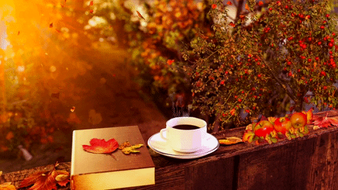 Its Fall Coffee GIF - Find & Share on GIPHY