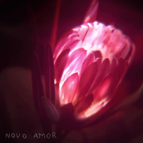 Halloween Glow GIF by Novo Amor