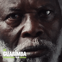 Black Man Wtf GIF by La Guarimba Film Festival