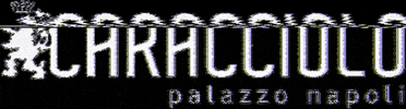Amit Shlomo Studio GIF