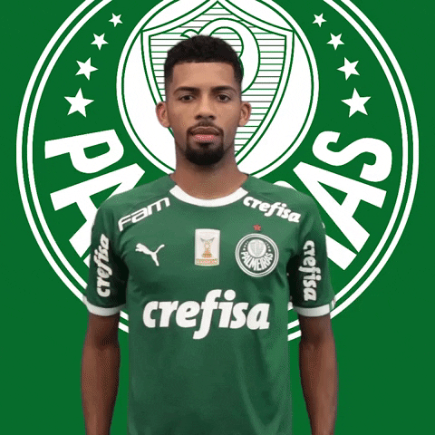 Palmeiras soccer thumbs up futebol thumbs GIF