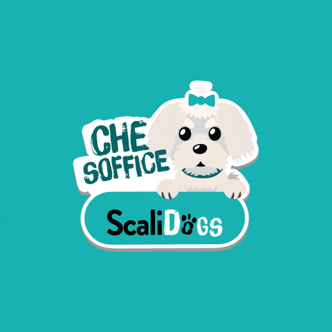 Dog Cane GIF by Scalidogs