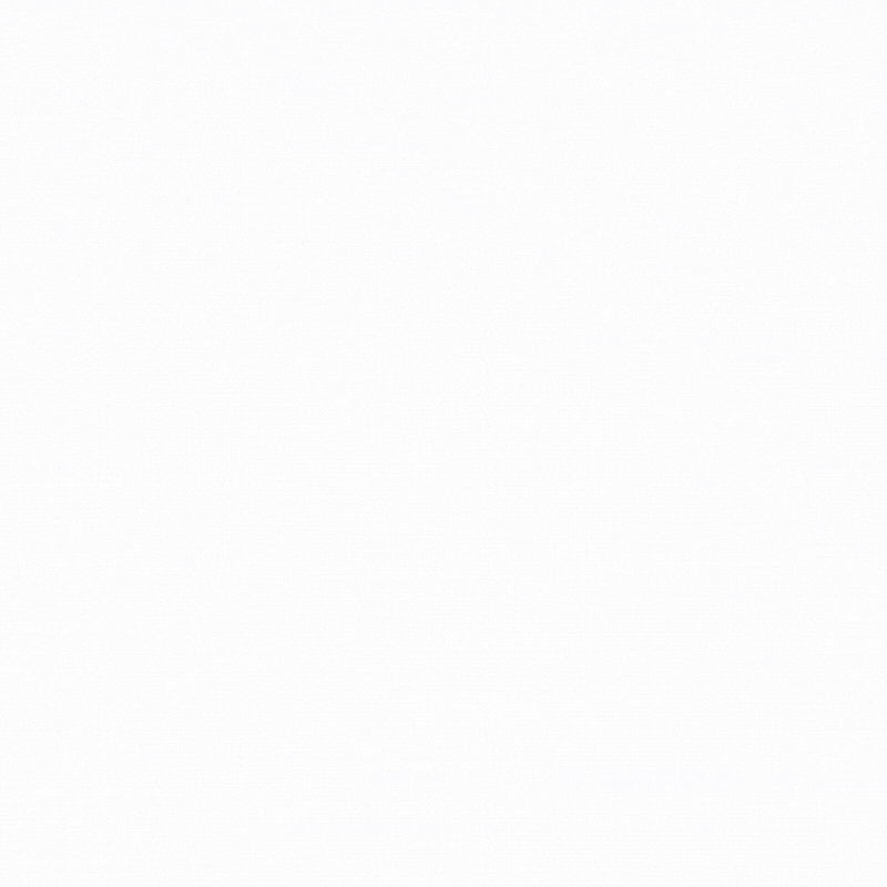 Susie Lee GIF