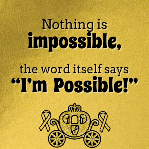 Nothing Is Impossible For The Kids GIF by Little Hero Foundation