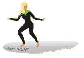 Santa Cruz Summer Sticker by Reefside