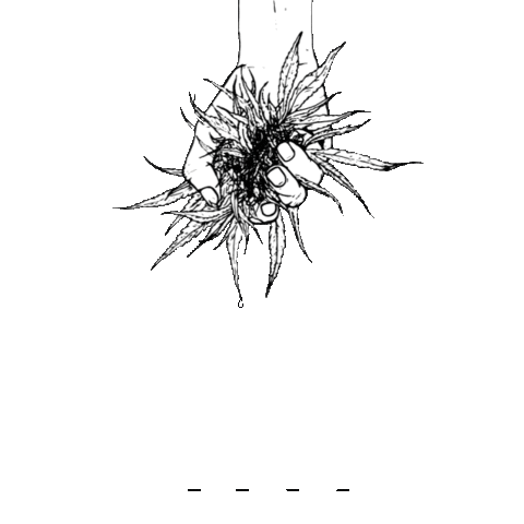 LEEF Organics Sticker