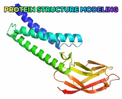 Protein Structure Modeling GIF