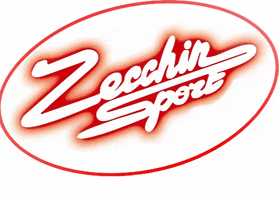 zecchinsport sport fitness run running GIF