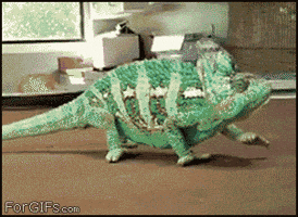 green sunglasses GIF