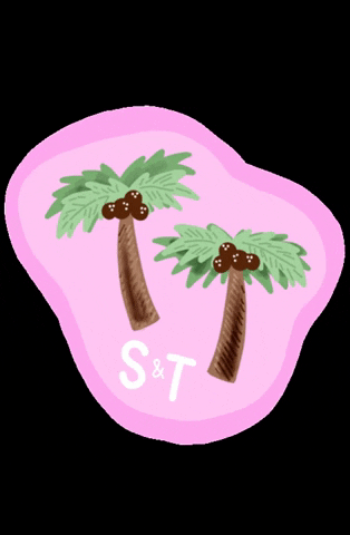 Palm Trees St GIF by Sweat and Tell