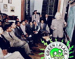 Albert Einstein Ciencia GIF by Greenplace TV
