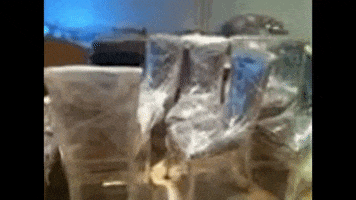 شركة تخزين اثاث بالرياض GIF