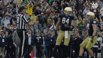 Nd Football Hug GIF by Notre Dame Fighting Irish