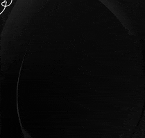 Apollo Artist Management GIF