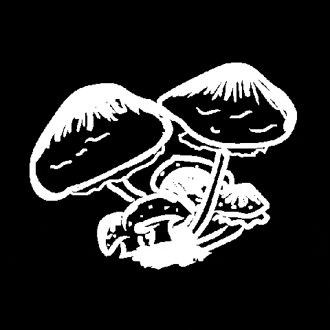 IzzyPop Shop GIF