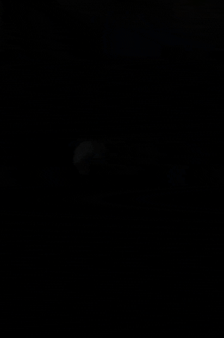 giphy.gif?cid=ecf05e47eedcksdjfynyq5id13