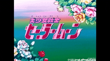 Sailor Moon GIF
