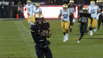 Football Touchdown GIF by Pac-12 Network