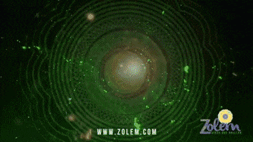 Zolem GIF
